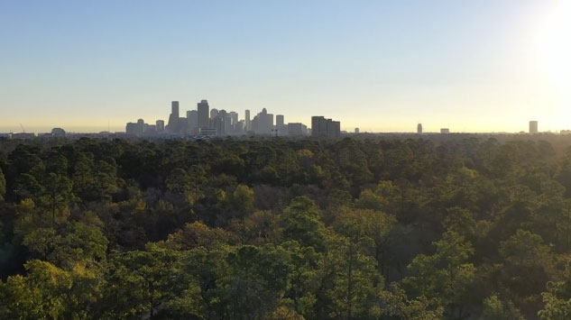 State of the Park 2019 Video
