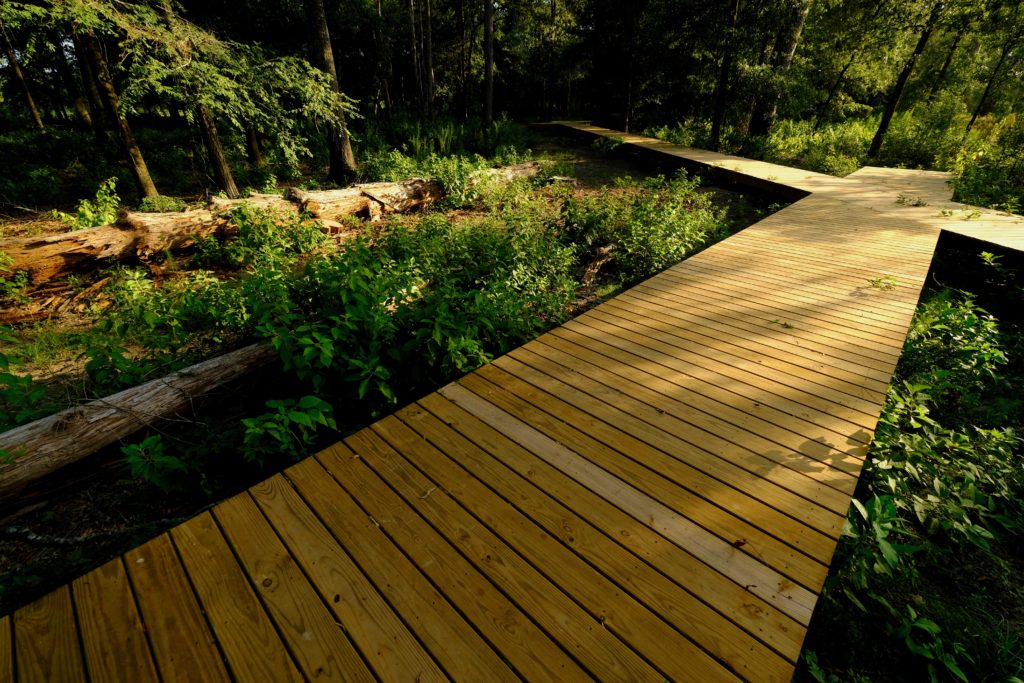 Memorial Park 100-acre Eastern Glades expansion now open to the public