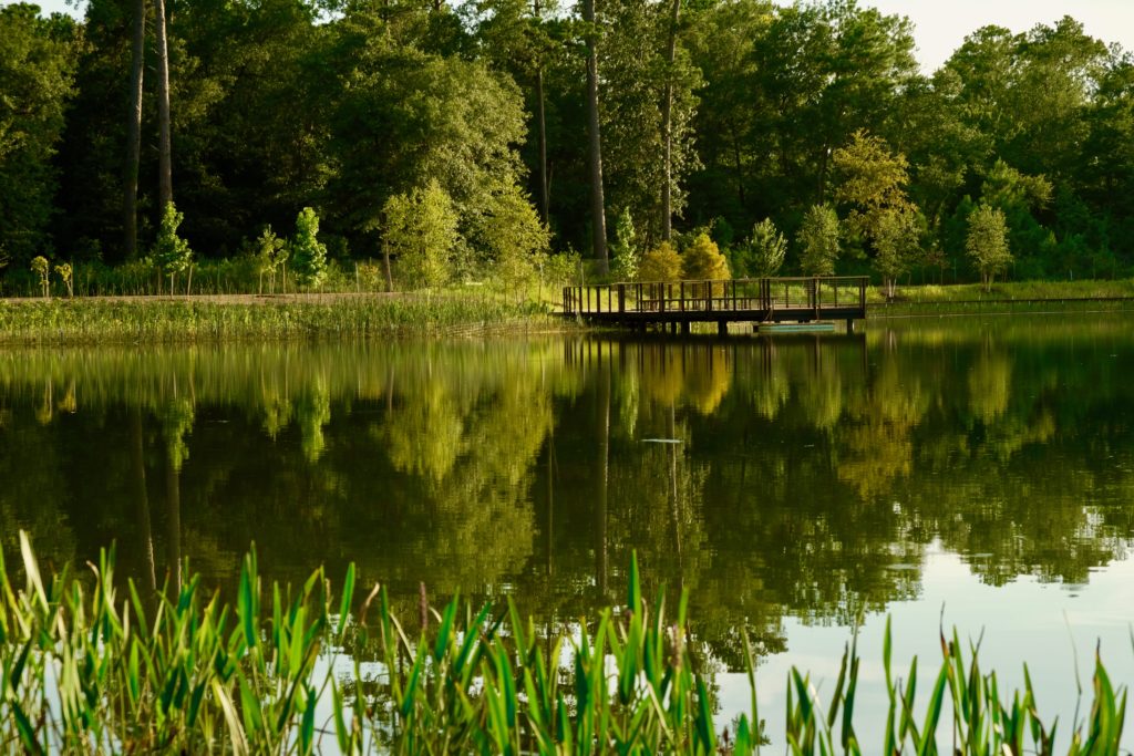 Artificial Lake Fulfills Many Roles in a New Houston Park