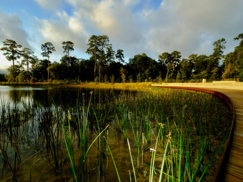 Memorial Park opens lush, game-changing new Eastern Glades to the public