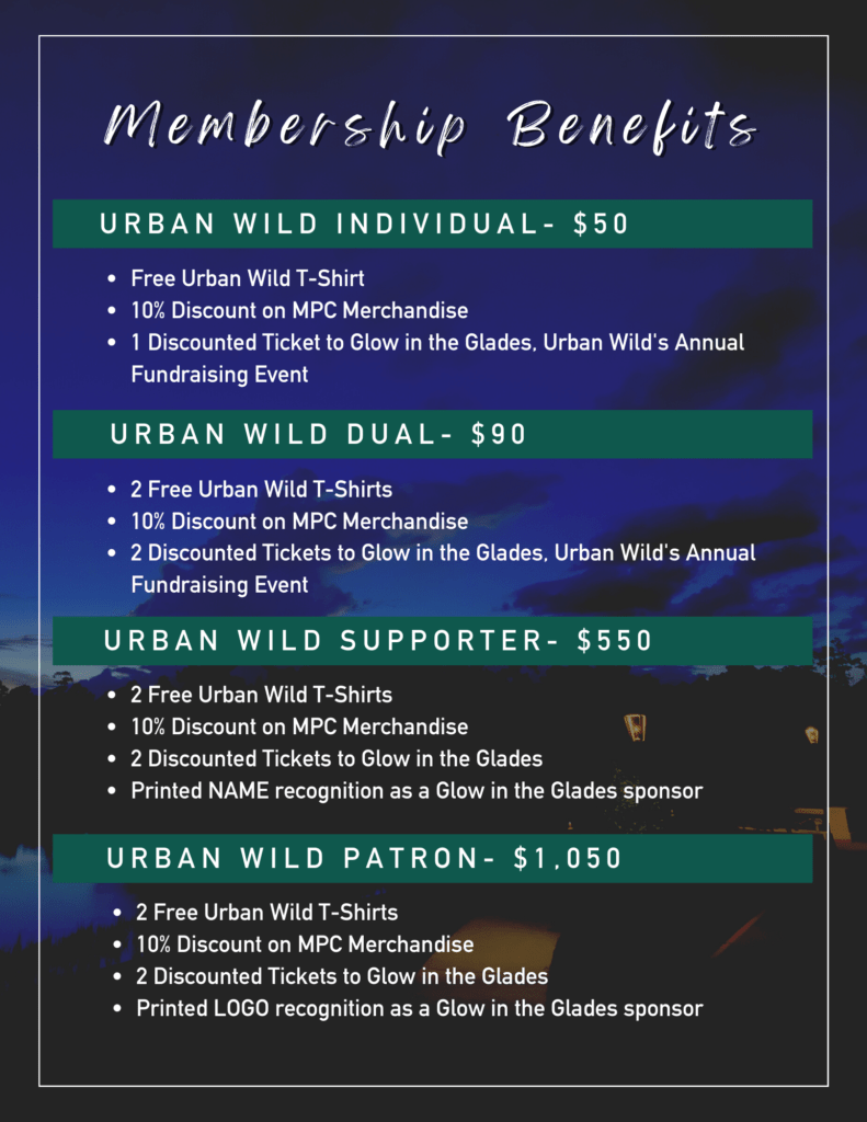 UW Membership Pricing 2023