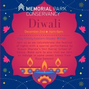 Diwali Festival of Lights