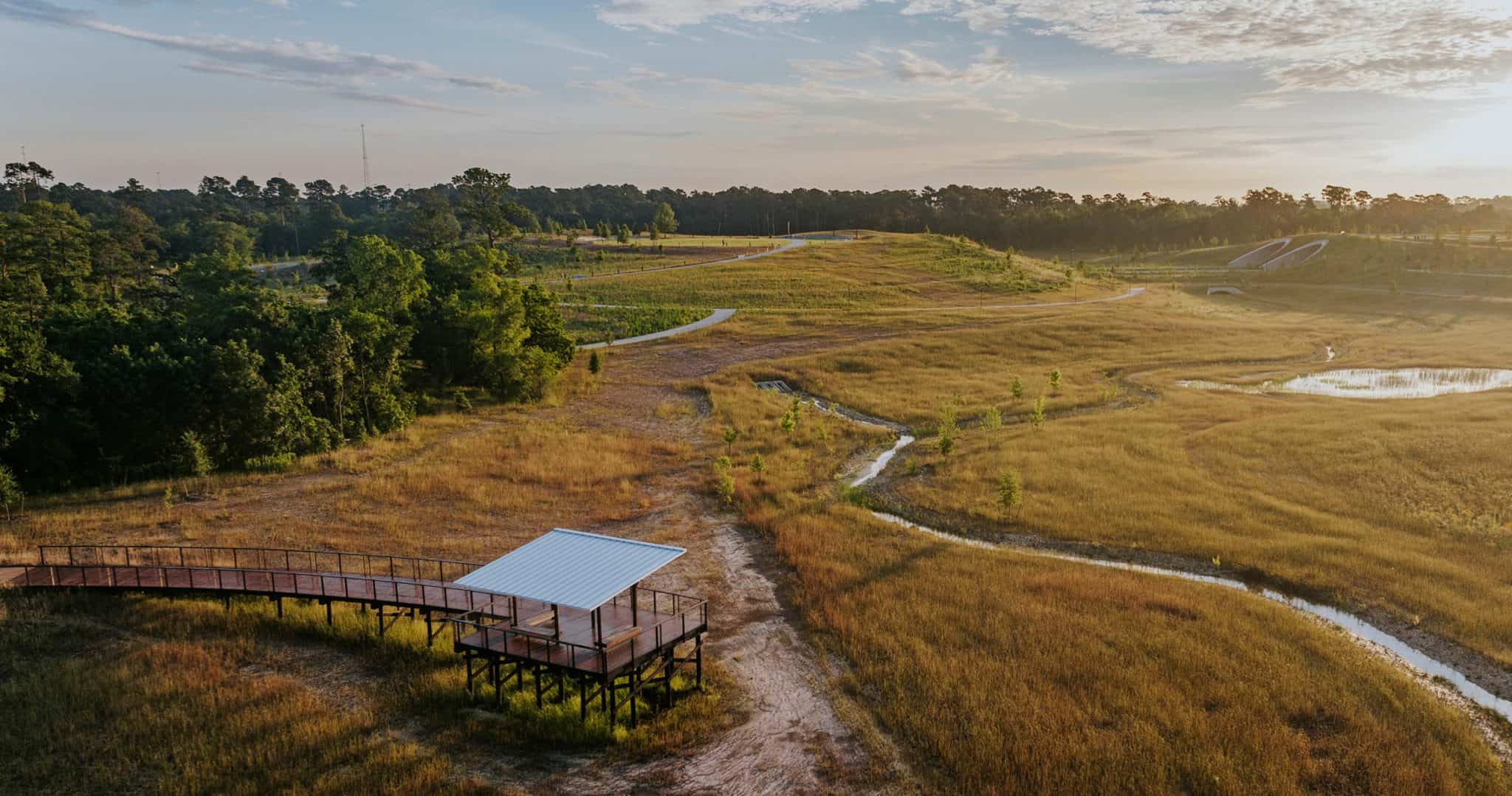 Large Prairie Wolff Prairie at Memorial Park | Native Texas Prairie Restoration