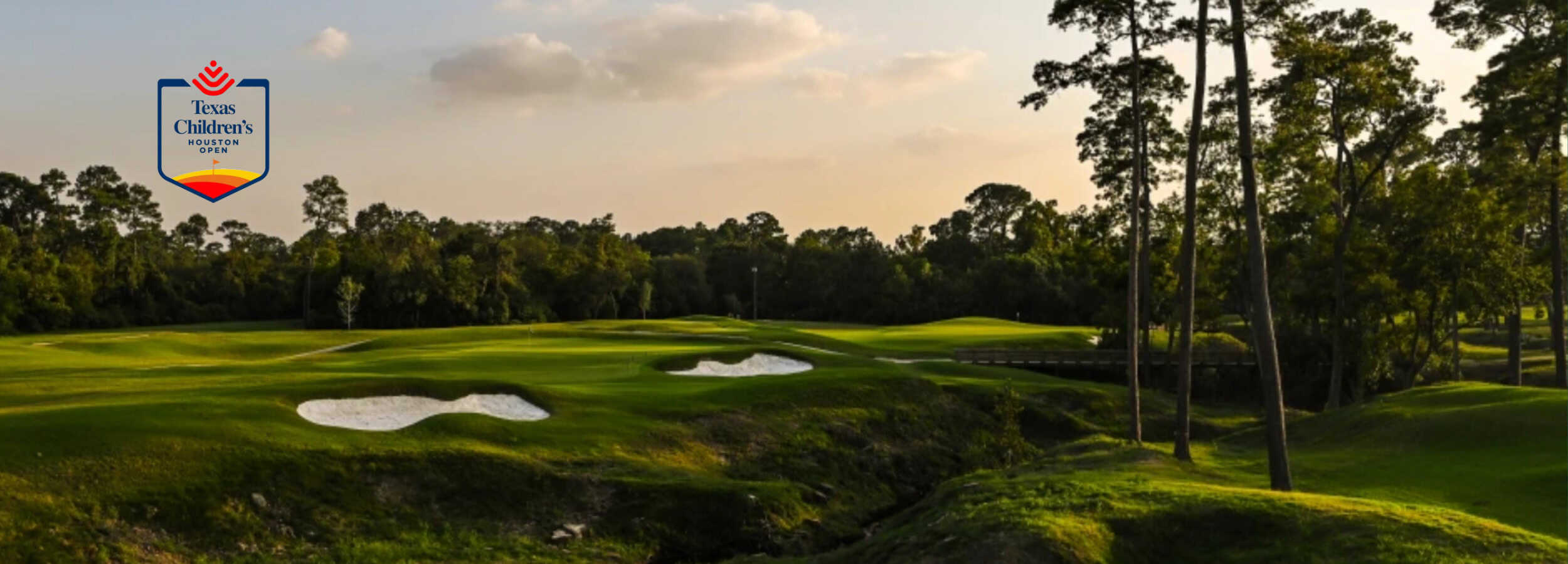 texas childrens houston open header