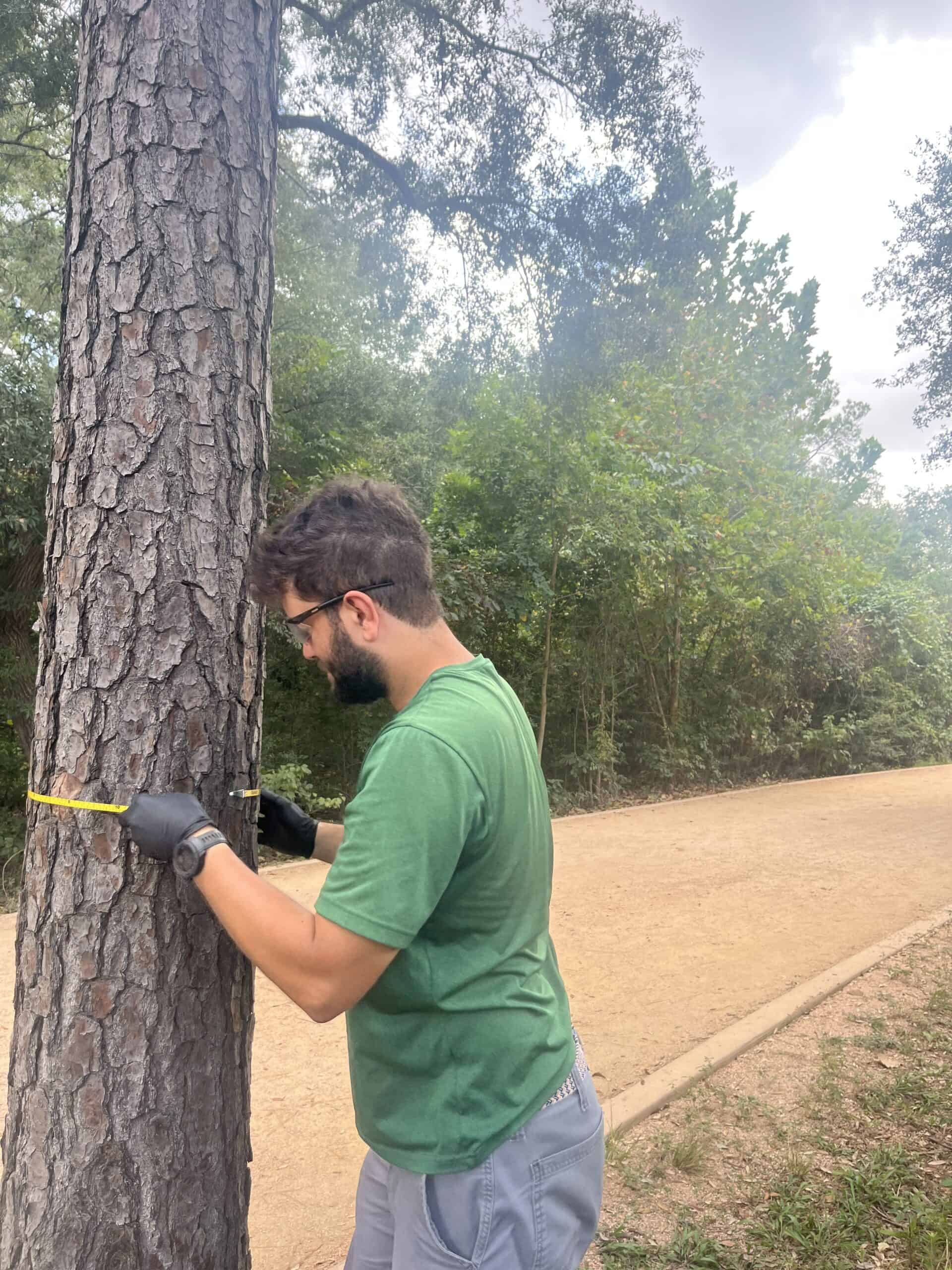 202509_ArborIPM_treeinjection2