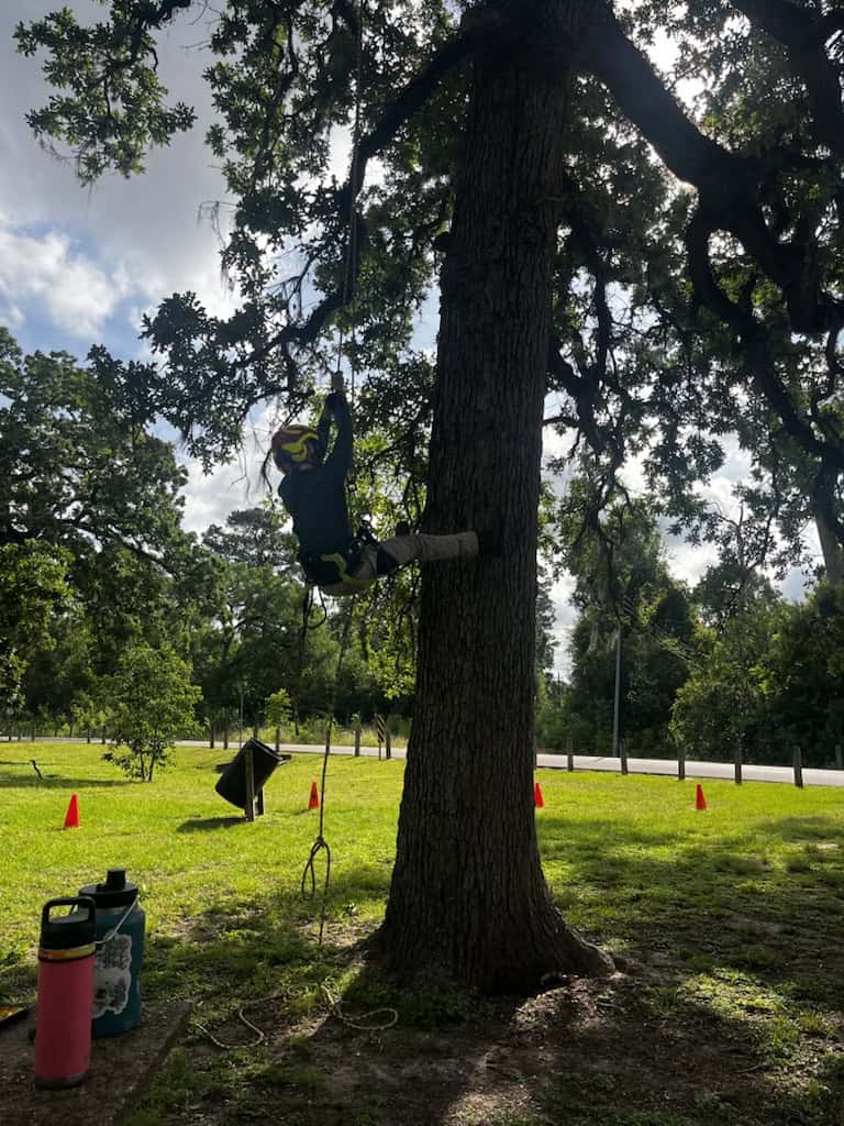 202605 Arbor Tree Climbing Practice2