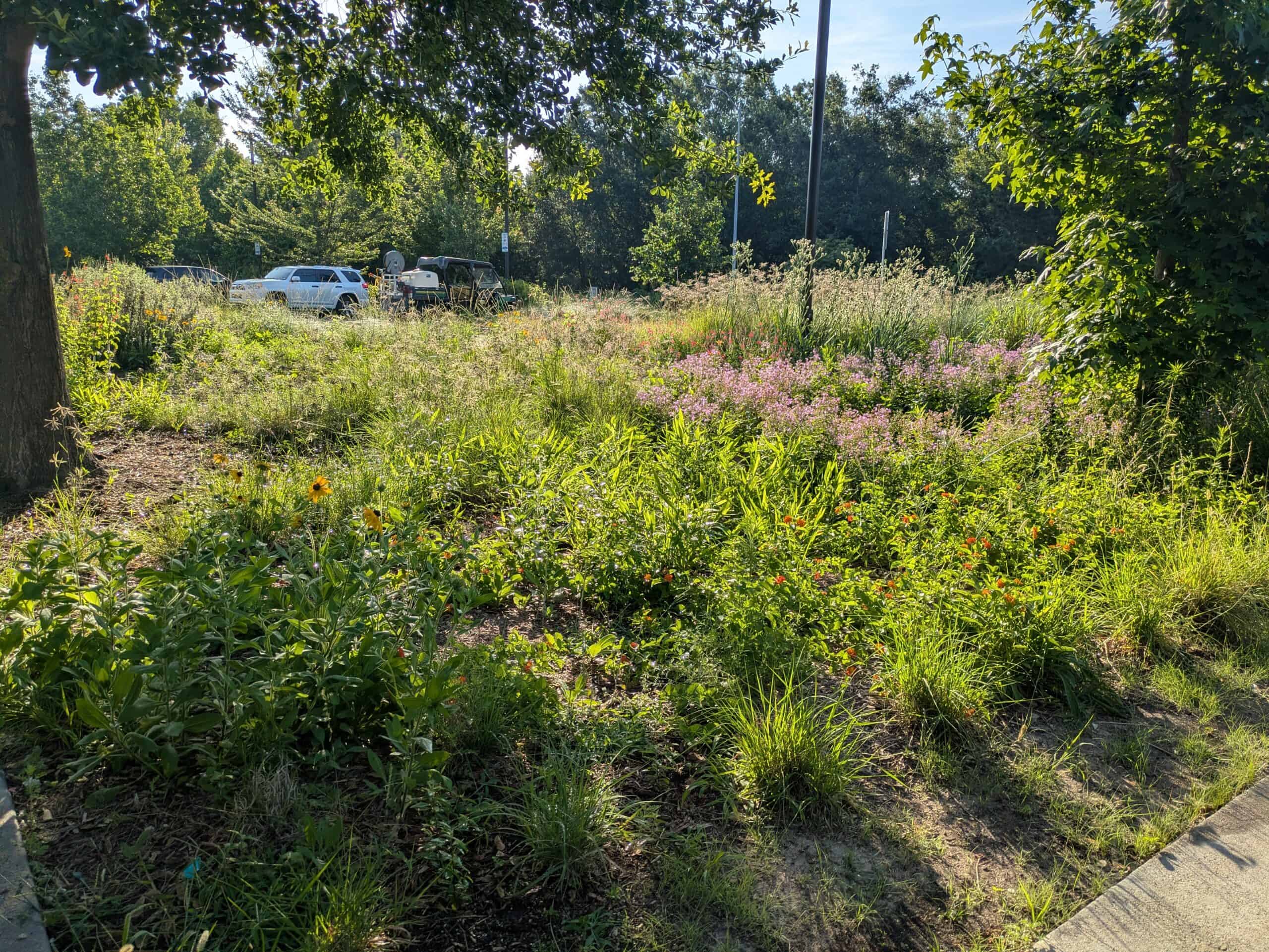 202605_NH_PocketPrairie_Maintenance