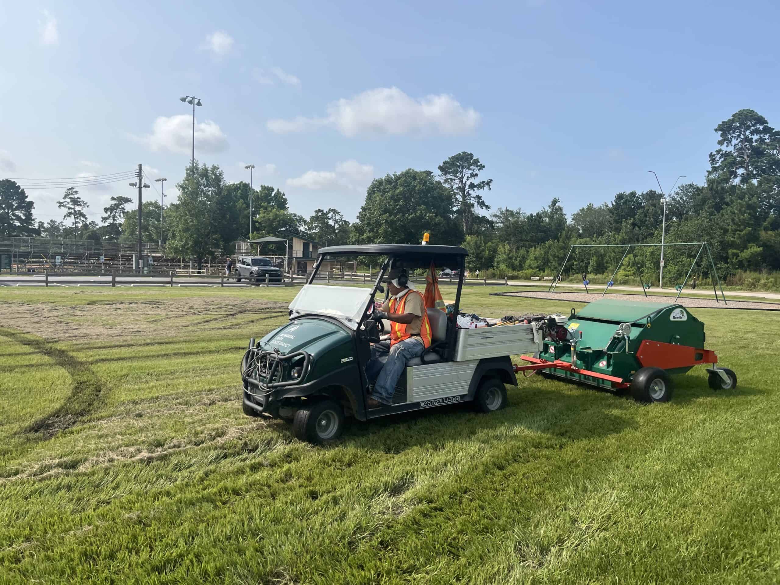 Maintenance Turf Beetle