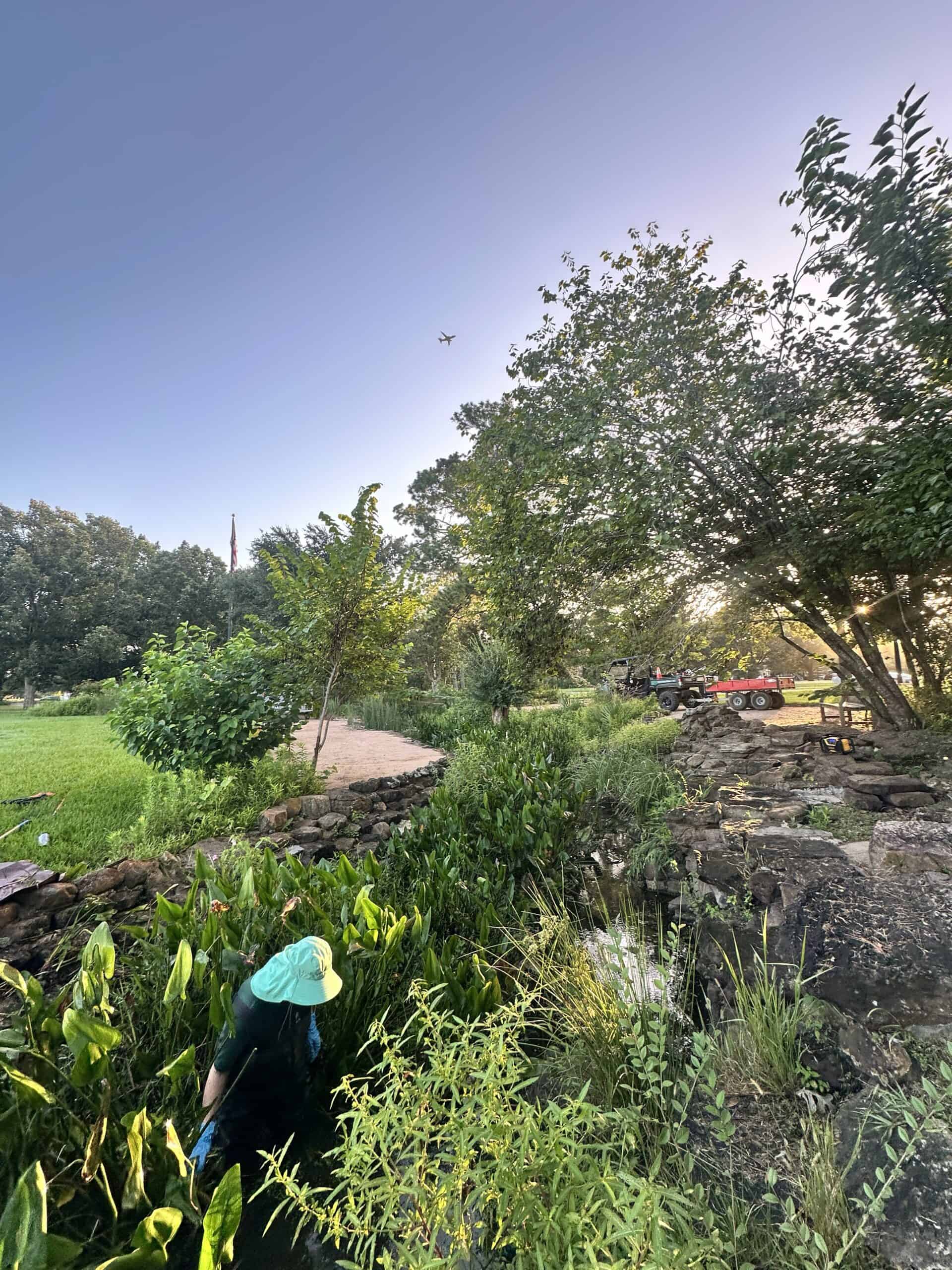 Conservation Corner August 26 Hort_Bush Grove stream vege removal staff_1
