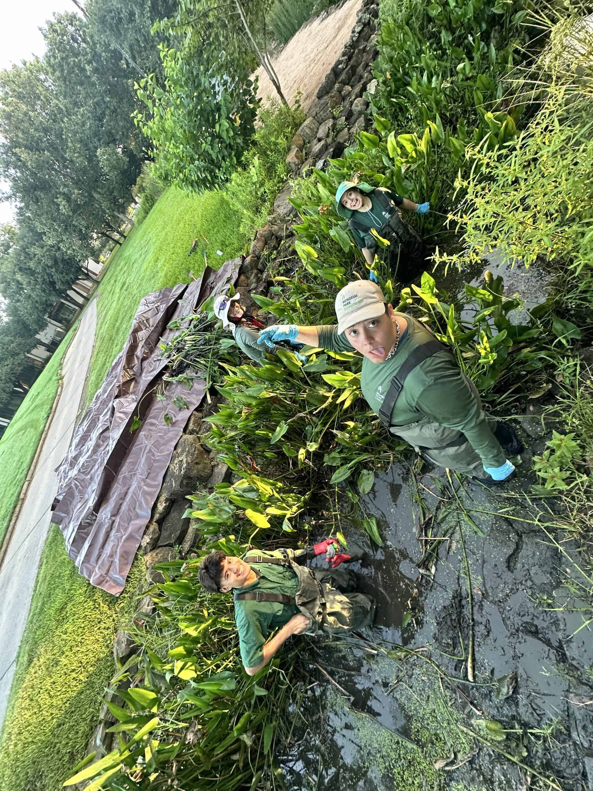 Conservation Corner August 26 Hort_Bush Grove stream vege removal staff_2