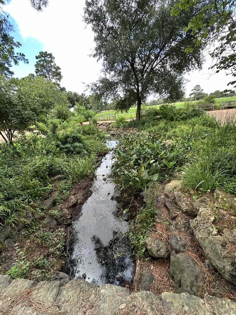 Conservation Corner August 26 Hort_Bush Grove stream vege removal_1
