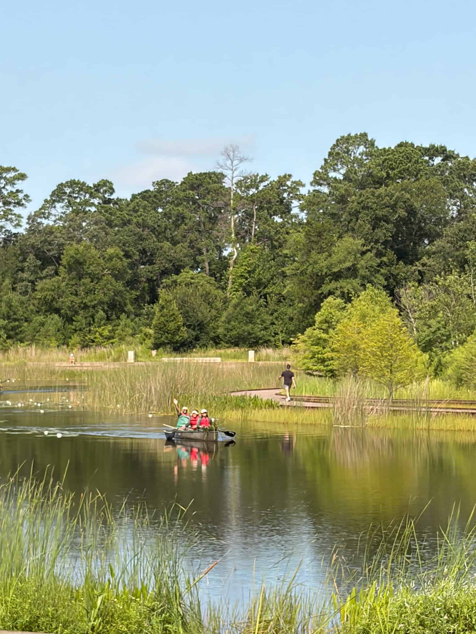 Conservation Corner August 26 NH_Hines Lake vegetation removal_2