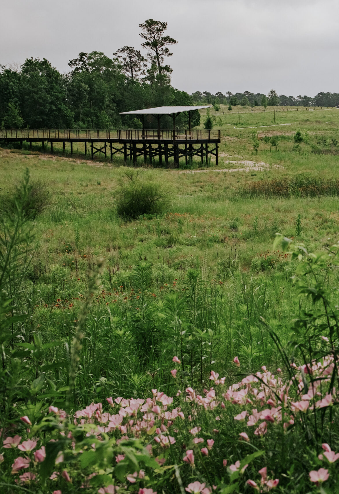 prairie pic