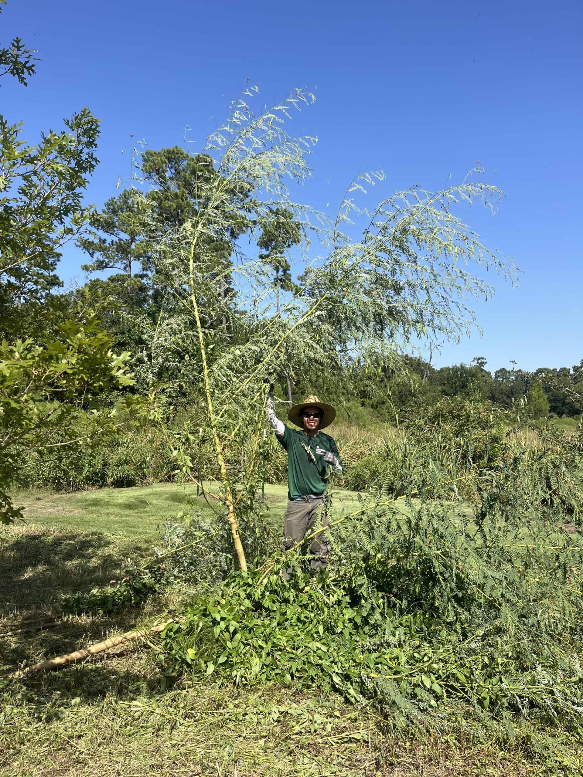 202607_NH_PocketPrairie_Maintenance1