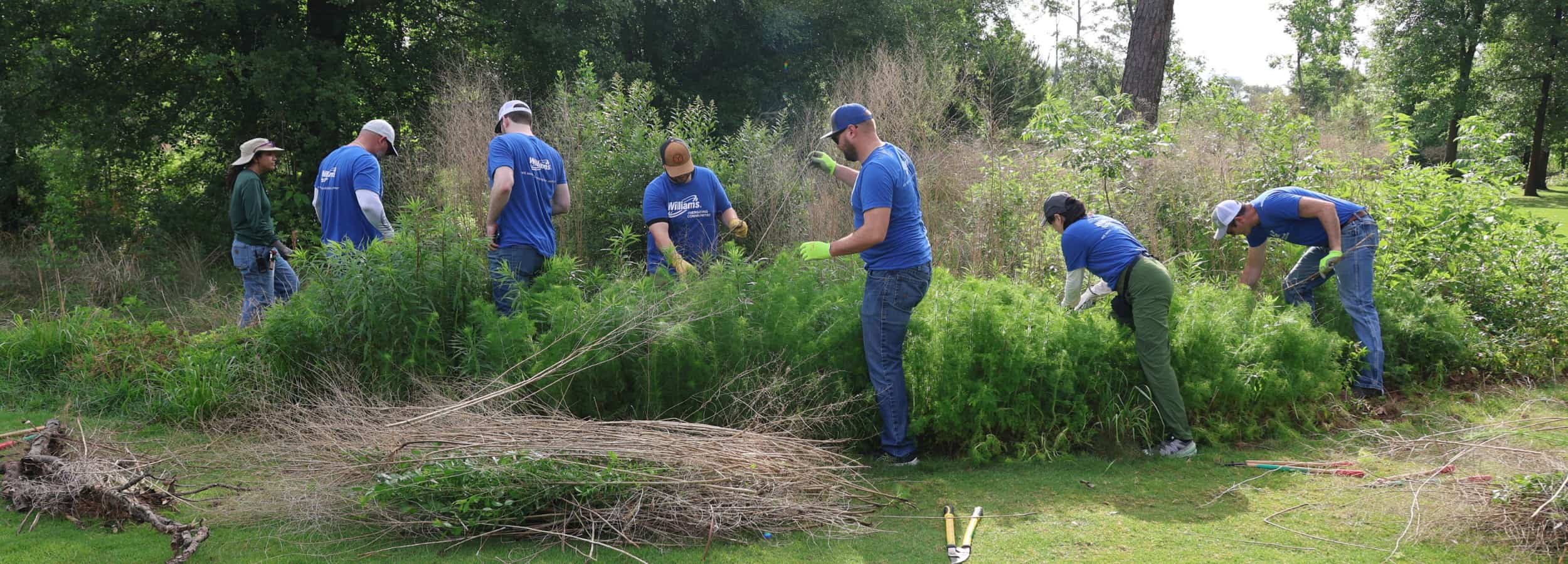 Volunteering Website Homepage Header